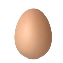 Gniotek jajko z kulkami żelowymi Orbeez 1 szt. kawaii 6,5 cm